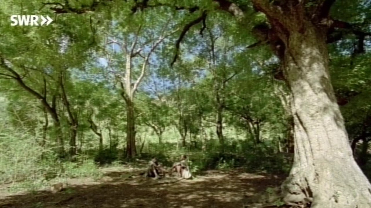 Schaetze der Welt E383 - Koutammakou, Togo