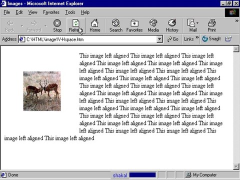 Tag img and Hspace, wspace attribute in Html5 Tutorial 7-5 in Urdu-hindi byshaikof
