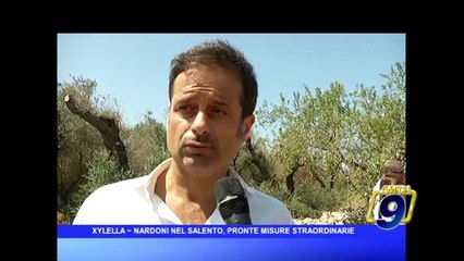 XYLELLA | Nardoni in Salento, pronte misure straordinarie