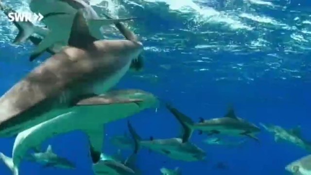 Schaetze der Welt E393 - Bikini Atoll, Marshall Islands, Ozeanien