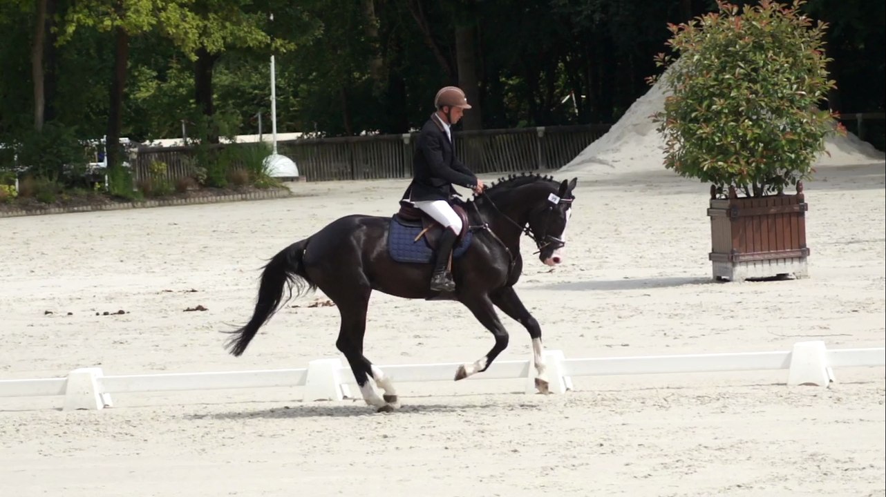 NEP CIR COMPIEGNE aux ALLURES 5 8 2014