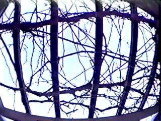 Sellouts Crew - A Perfect World