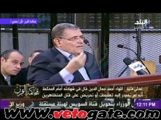 فايد: لو صدرت أوامر إطلاق النار لمات 160 ألف متظاهر