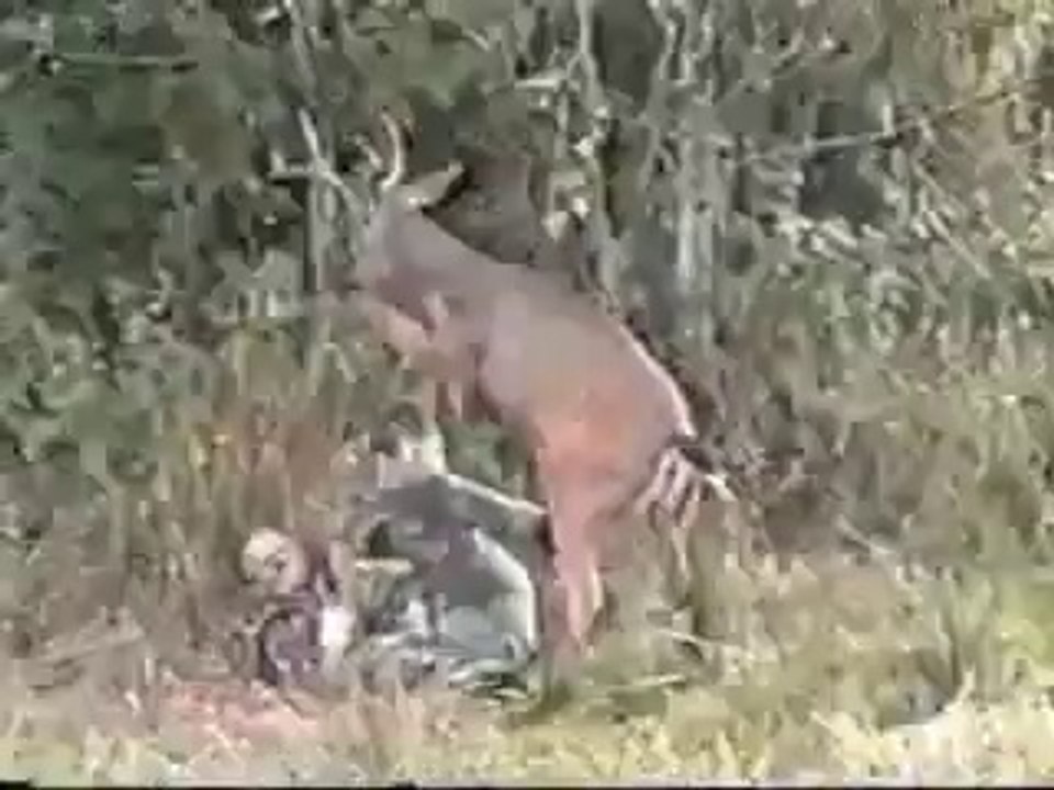 Karnım ağrıdı gülmekten