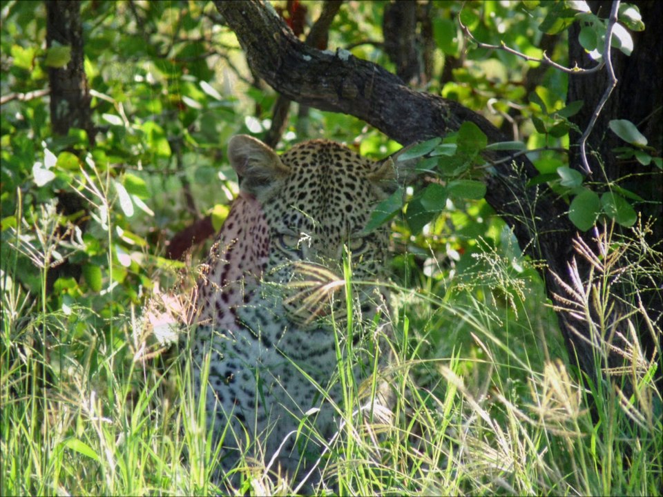 Avonturen uit zijn eerste drie jaar