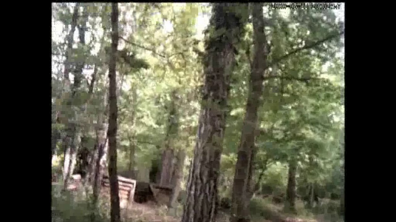 op des scorpion le 9 aout