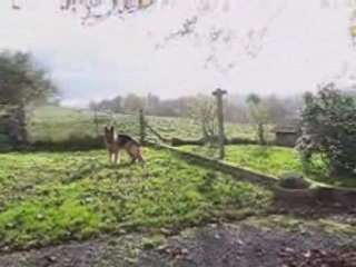 Adoption : ma Grande Ourse.