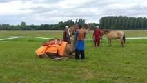 Dromadaires à La Chartre sur le Loir - spectacle cheval/dromadaire