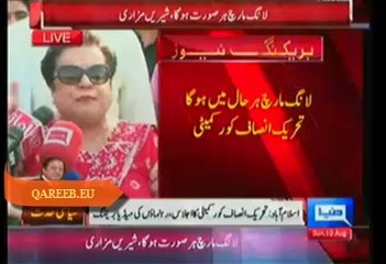 If democracy derailed during Azadi March, Responsibility goes to Nawaz Sharif, PTI