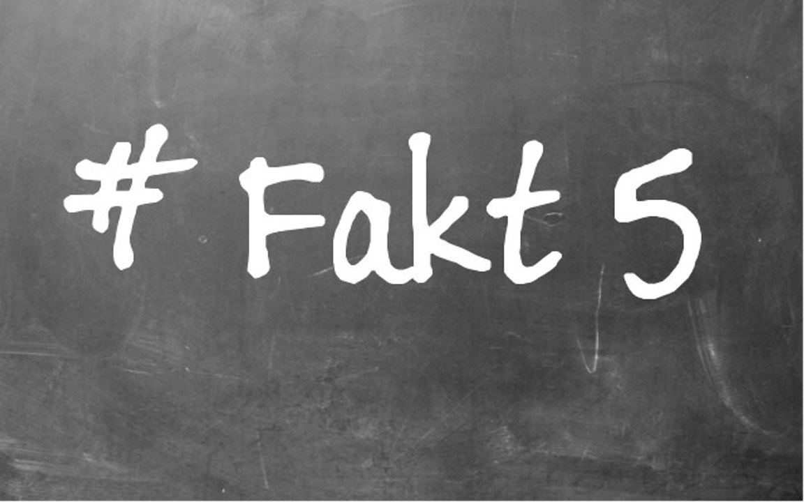 KurzVideo 5 - Was man wirklich wissen muss