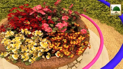 Madani Guldasta 616 - Qayamat Ka Bayan