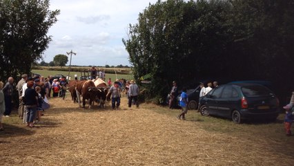 Fête des moissons 2014