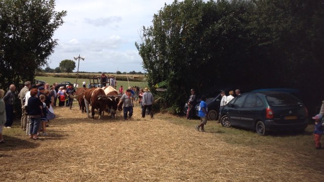 Fête des moissons 2014