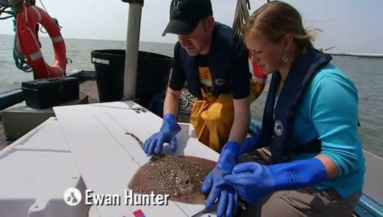 BBC Coast S02E08 - Felixstowe to Margate