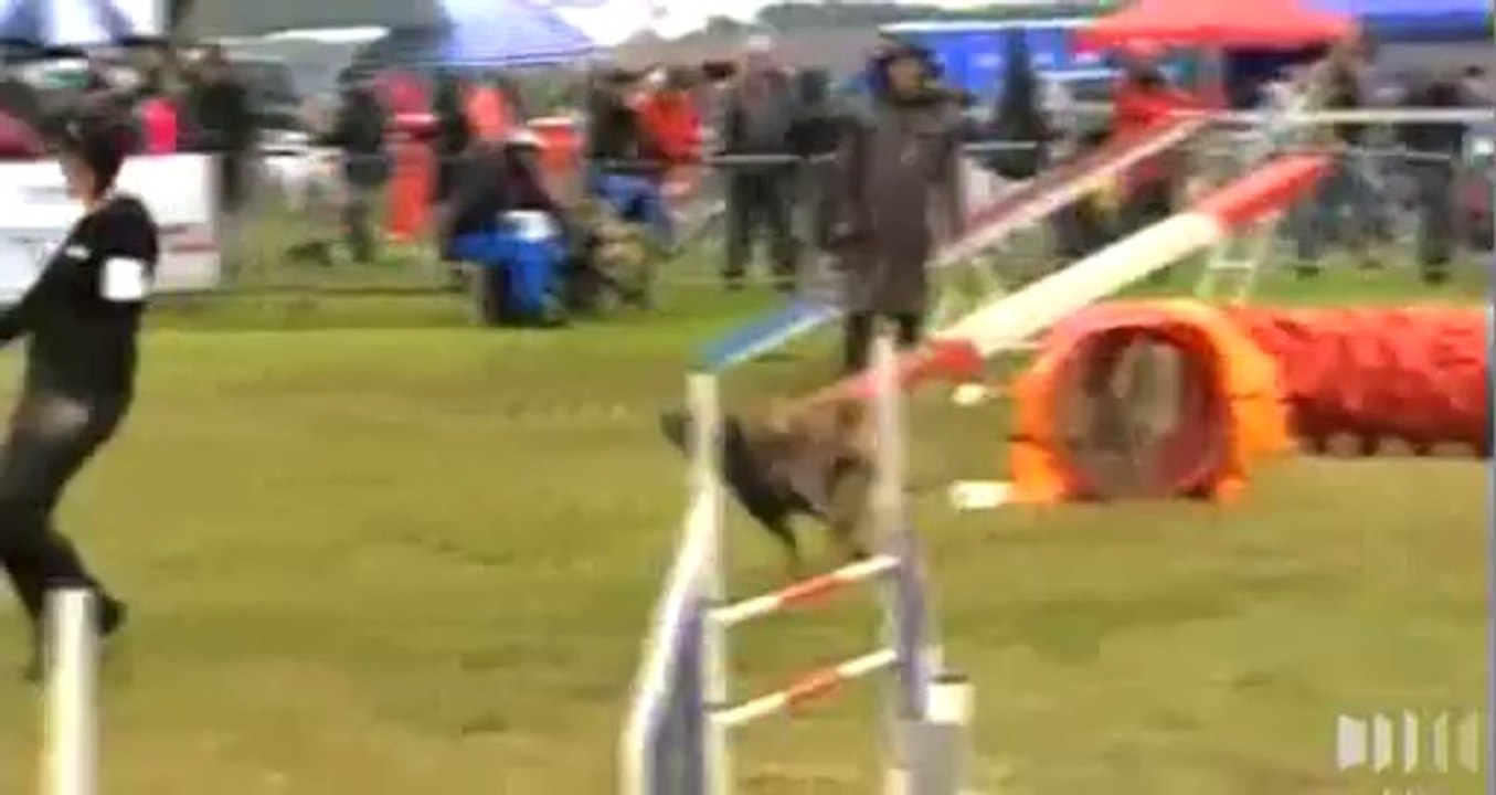 Les "hot dogs" finale. FR3 Nord Pas de Calais