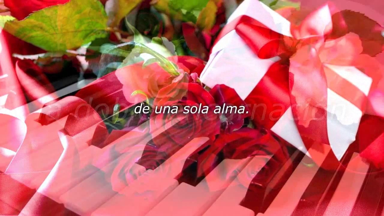 Alma TE AMO