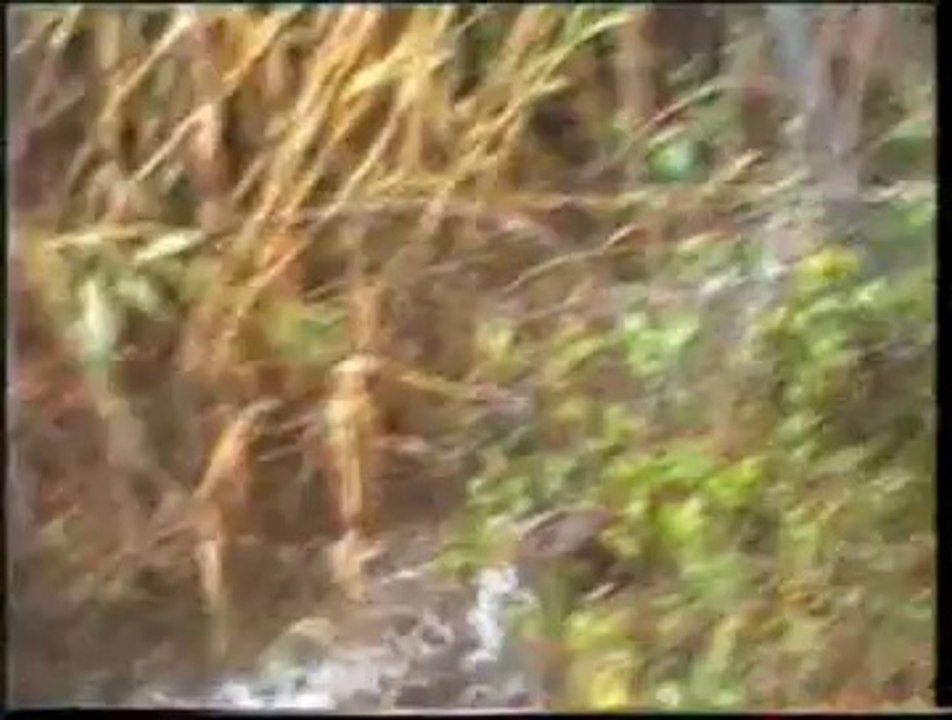 Moínho do Espadanal a Laborar em 2000