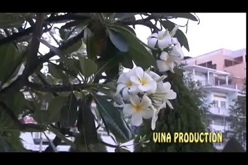 Gửi Gió Cho Mây Ngàn bay - Trần Mạnh Tuấn