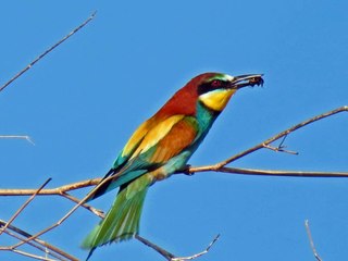 LE CIRCUIT DU JARDIN ENSOLEILLE depuis St Martin de Fenouillet