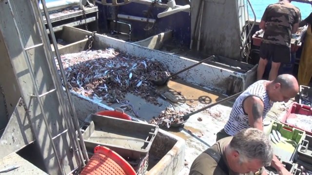 Port la Nouvelle ' Les chalutiers