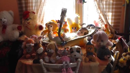 Будни приюта "Незнайка"