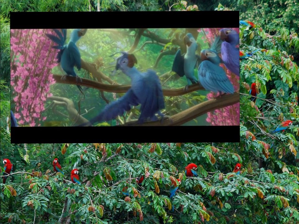 Rio 2 "Welcome Back" Cover