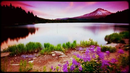 Very Nice Study Music - Soft Background Music by RELAX CHANNEL