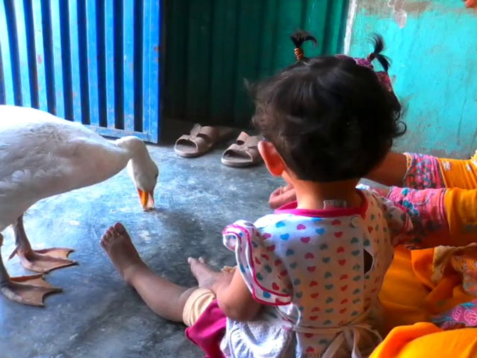 noor