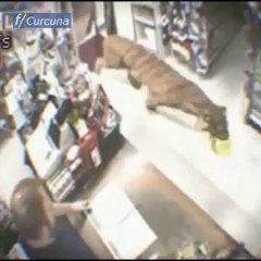 Alışverişe bakın kim geliyor