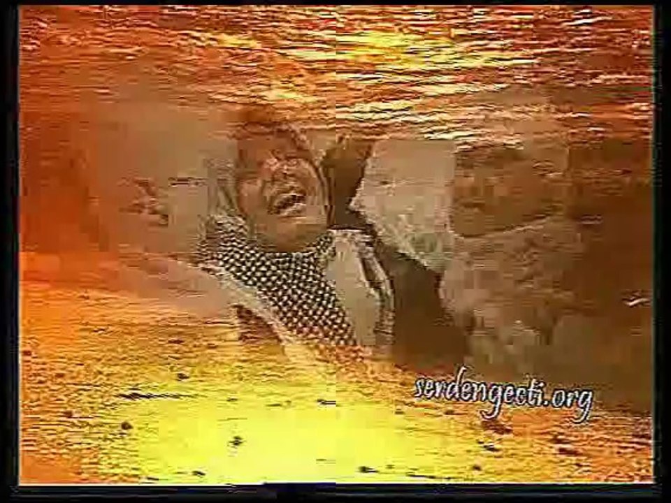 Bir ahir zamandı - Dursun Ali Erzincanlı