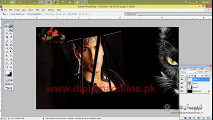 Adobe Photoshop 7.0 Lesson 47