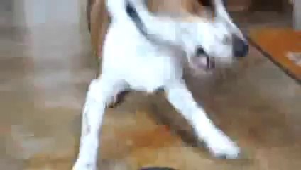 ㉿바카라하는법▶←▧▶ YAM ７７７.℃OM ◁▨℡바카라하는법바카라하는법바카라하는법바카라하는법바카라하는법바카라하는법바카라하는법바카라하는법