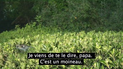 Belle histoire père et fils.