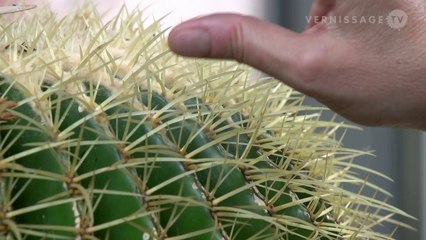 Interview with Robyn Schulkowsky at Fondation Beyeler