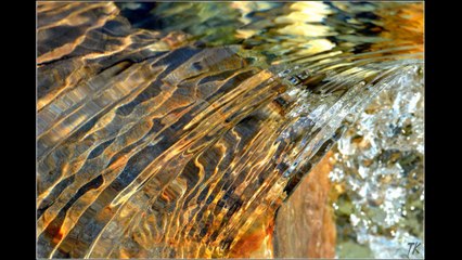 Chris BARBER - Water Miracle