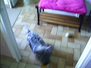 Jaudy,déchaîné après son canard