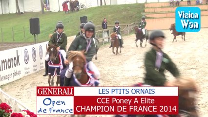 cce poney a elite