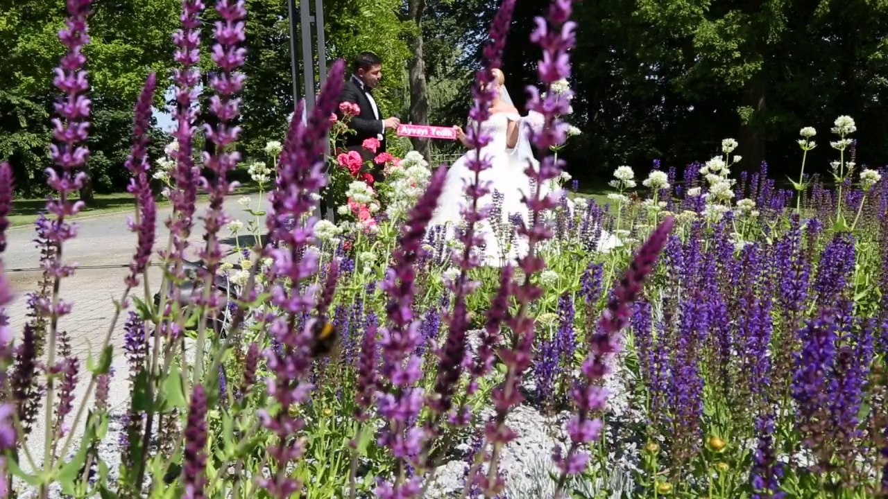 Dügün Hikayesi Almanya Hamm 2014