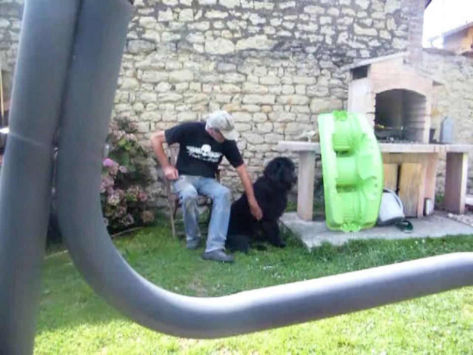 repos après avoir couper mon bois câline la grosse Iska