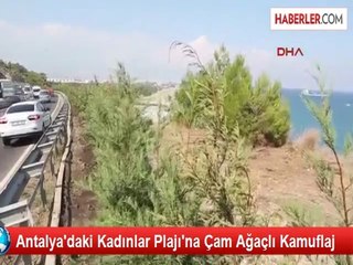 Antalya'da Kadınlar Plajına Çam Ağaçlı Kamuflaj