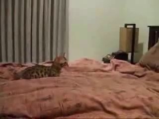 ＆온라인카지노사이트☜↕◐▶ YAM ７７７.℃OM ◁◑＊온라인카지노사이트온라인카지노사이트온라인카지노사이트온라인카지노사이트온라인카지노사이트온라인카지노사이트온라인카지노사이트온라인카지노사이트