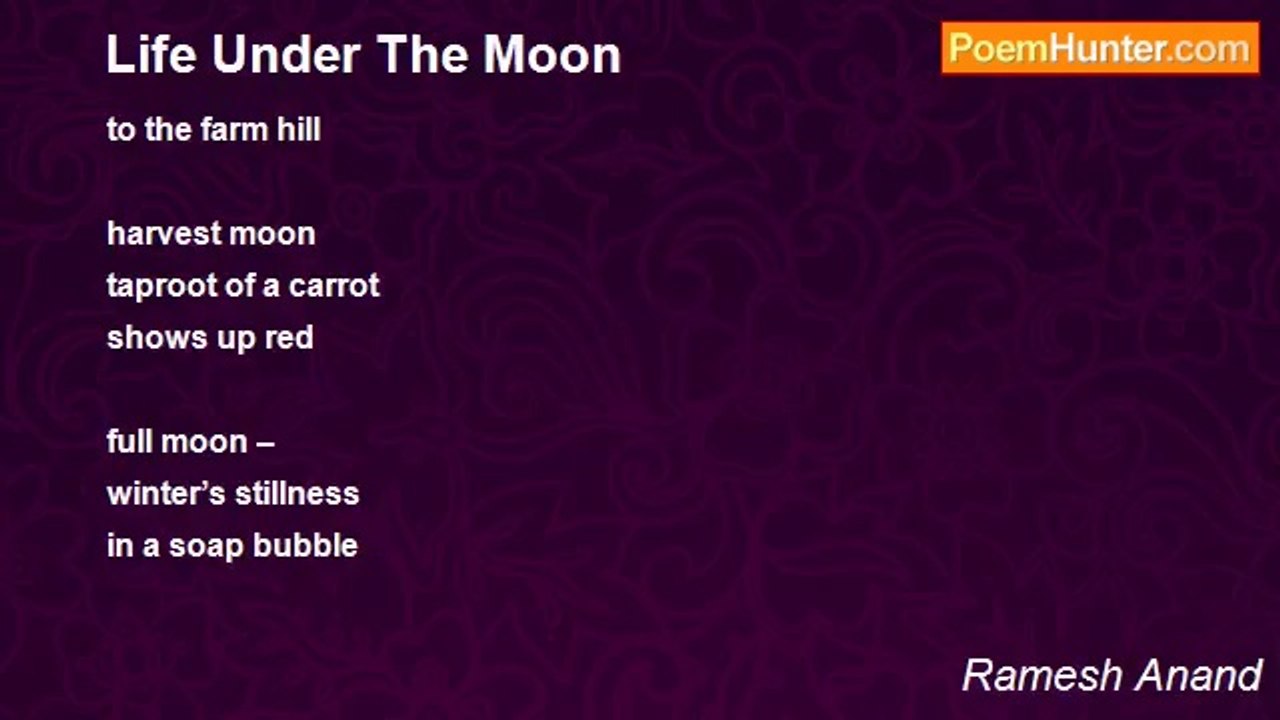 Ramesh Anand - Life Under The Moon