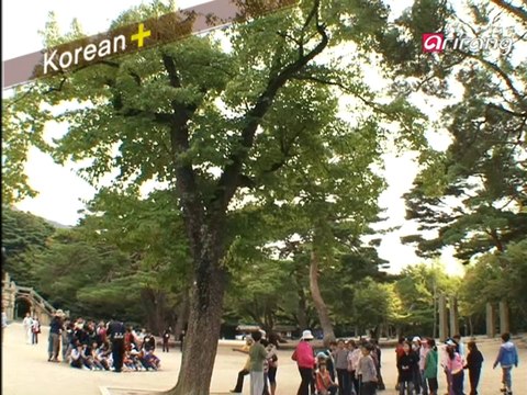 Traveler's Korean (Chinese 中文) S2Ep03 请告诉我你的电话号码。전화번호 좀 가르쳐 주세요.