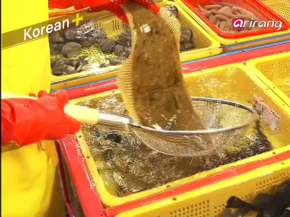 Traveler's Korean (Chinese 中文) S2Ep05 我想去釜山。 제주도에 가고 싶어요.