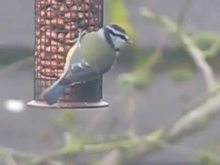 ♩바카라머니▽▶▤▷ YAM ７７７.℃OM ◀▤○바카라머니바카라머니바카라머니바카라머니바카라머니바카라머니바카라머니바카라머니