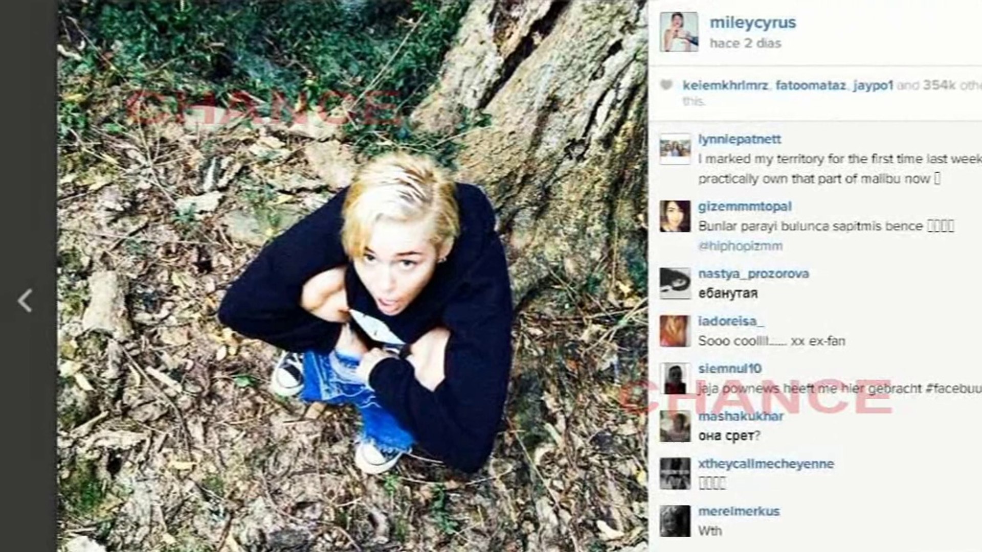 Miley Cyrus y su foto orinando revolucionan la red