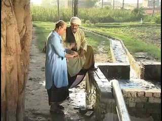 Mechanization Dairy Farming