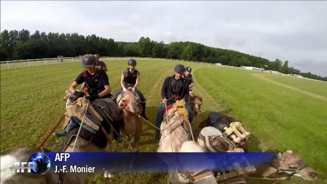 Championnat de France de course de... dromadaires dans la Sarthe