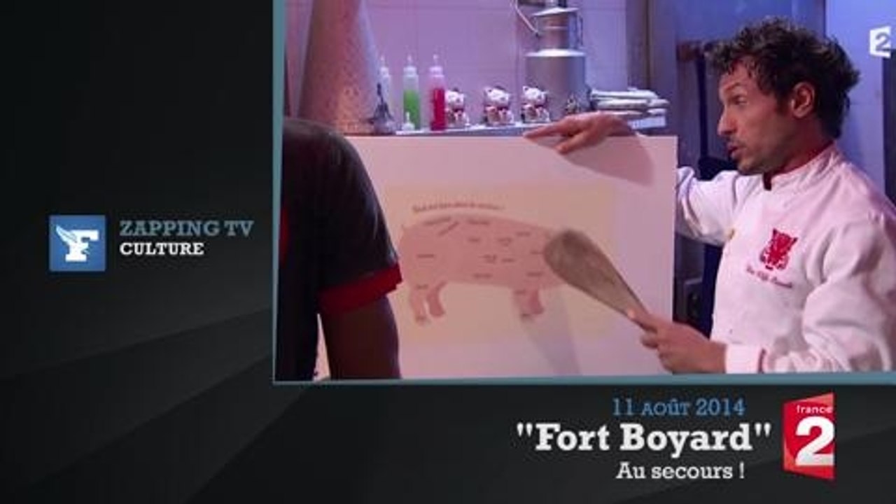 Zapping TV : Michel Drucker fait des câlins à un bébé phoque