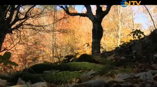 Serdar Kılıç Doğada Tek Başına ''Dağ Evi'' 1. bölüm